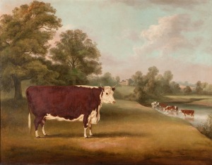 In the 1850s the 5th Lord Berwick had his prize herd of Hereford cattle painted by the artist W.H. Davies.